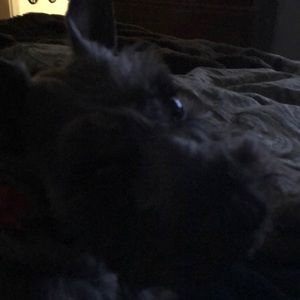 Meet your Posher, Kayleen